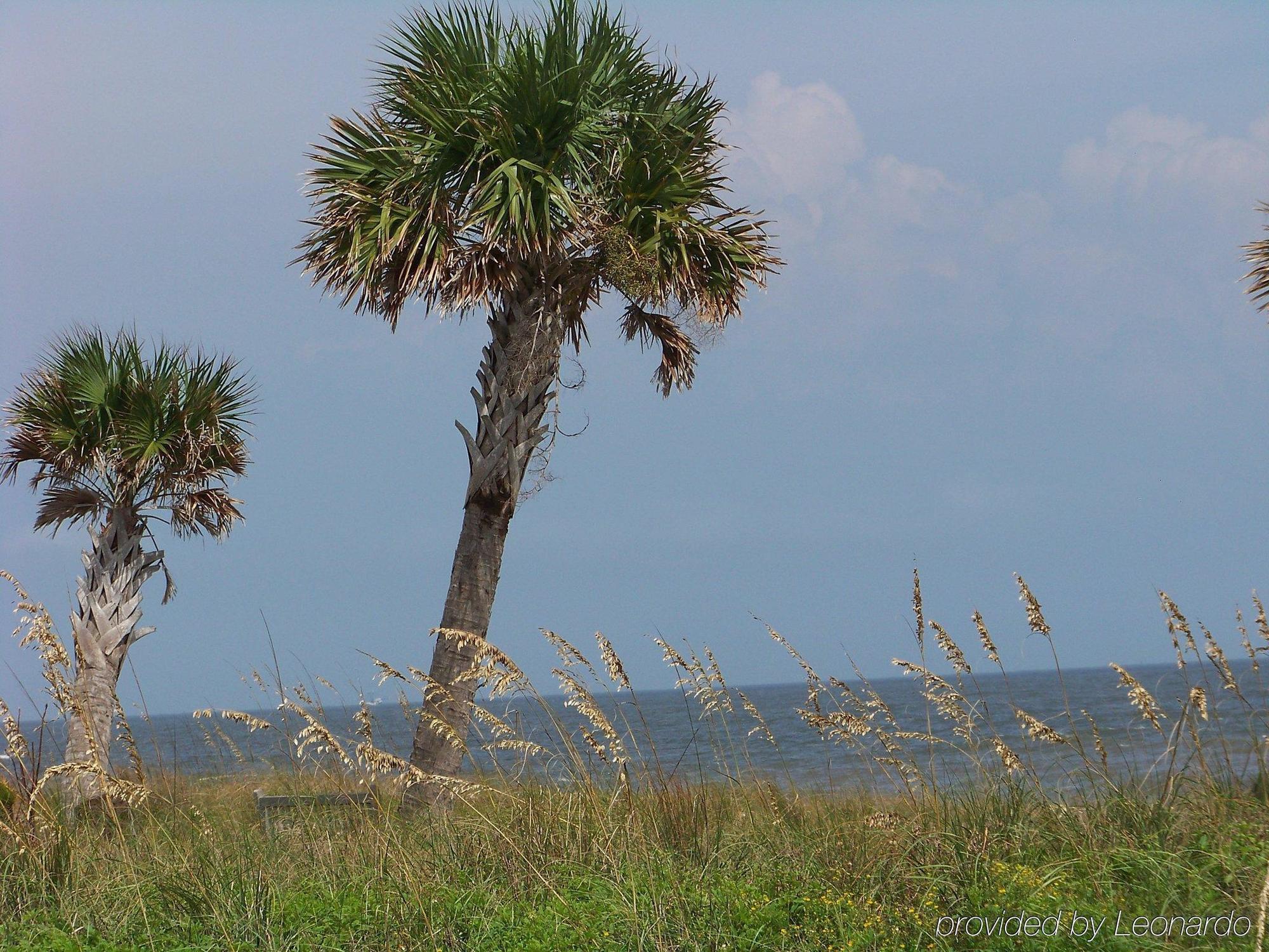 Holiday Inn Express Saint Simons Island By Ihg St. Simons Island Eksteriør billede